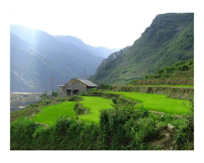 Sapa, Viet Nam Photographic Print Sapa, Viet Nam Photographic Print