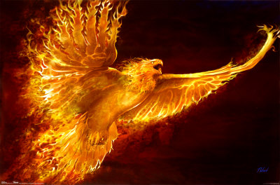 phoenix-rising.jpg