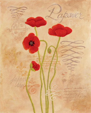 Poppy Fresco I Print Poppy Fresco I Print