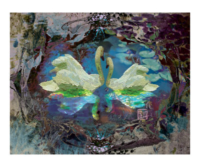 Swan Lake Love Photographic Print Swan Lake Love Photographic Print