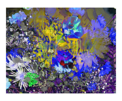 Flower Shower Photographic Print Flower Shower Photographic Print