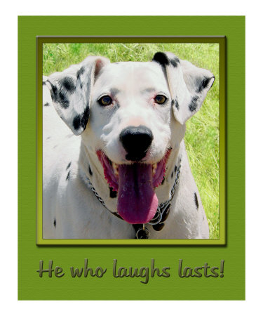 279W Laughs Lasts Photographic Print 279W Laughs Lasts Photographic Print
