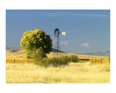 The Windmill Photographic Print The Windmill Photographic Print