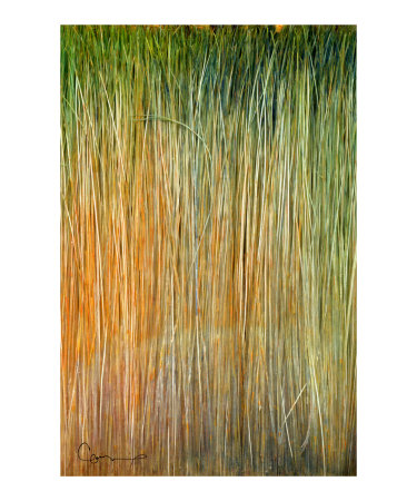 paint brush Photographic Print paint brush Photographic Print