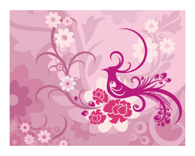 PInk Peacock Photographic Print PInk Peacock Photographic Print