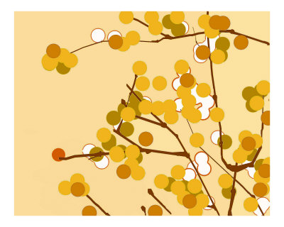 Gold Cherry Blossom Photographic Print Gold Cherry Blossom Photographic Print