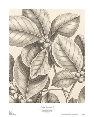 Tropical Connection I Print Tropical Connection I Print
