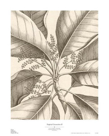 Tropical Connection II Print Tropical Connection II Print