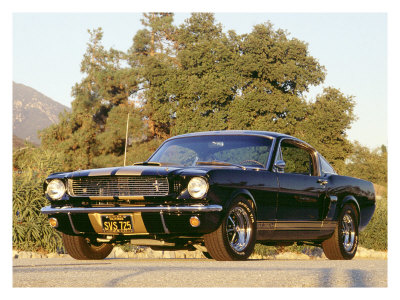 1966 Shelby GT350H Giclee Print 1966 Shelby GT350H Giclee Print