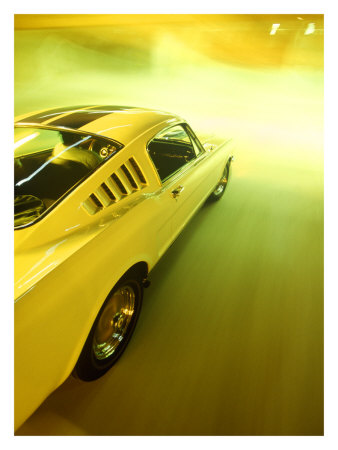 1965 Shelby GT350 Giclee Print 1965 Shelby GT350 Giclee Print