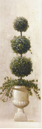 Three Ball Topiary Stretched Canvas Print Three Ball Topiary Stretched Canvas Print