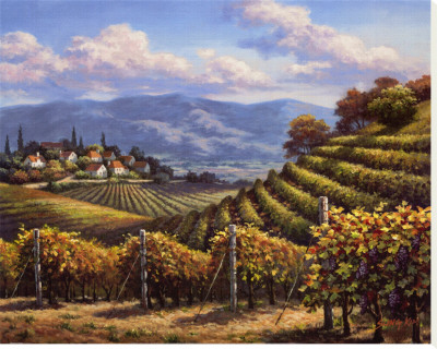 Vineyard Village Stretched Canvas Print Vineyard Village Stretched Canvas Print