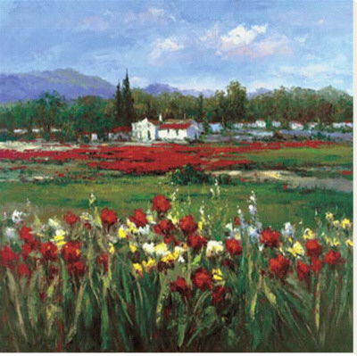 Red Flower Field Stretched Canvas Print Red Flower Field Stretched Canvas Print