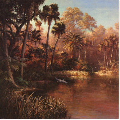 Myakka Sunset Stretched Canvas Print Myakka Sunset Stretched Canvas Print