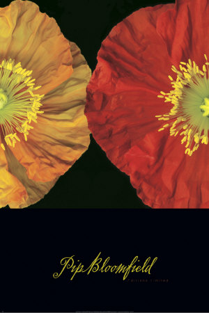 Red and Yellow I Print Red and Yellow I Print