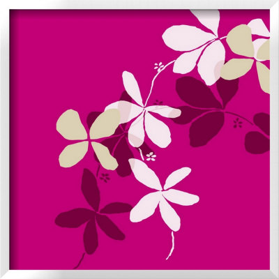 Fuchsia Kerala Framed Print Fuchsia Kerala Framed Print