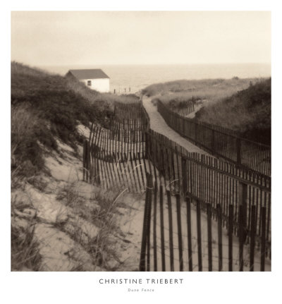Dune Fence Print Dune Fence Print