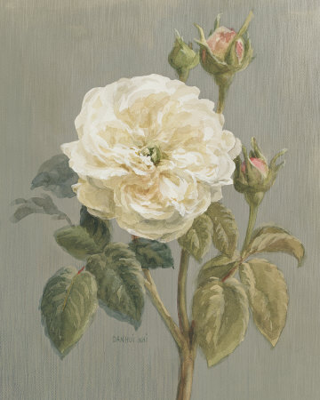 Heirloom White Rose Print Heirloom White Rose Print