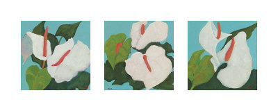 Anthurium Triptych Print Anthurium Triptych Print