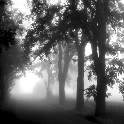 Misty Pathway Print Misty Pathway Print