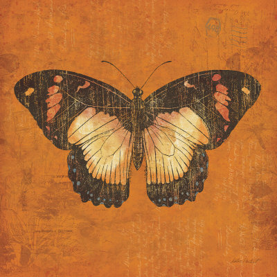 Apricot Butterfly Print Apricot Butterfly Print