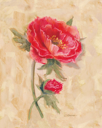 Spicy Poppies Print Spicy Poppies Print