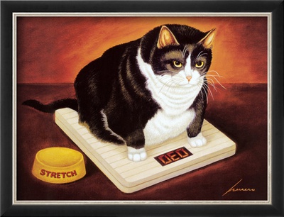 Stretch Kelley Framed Print Stretch Kelley Framed Print