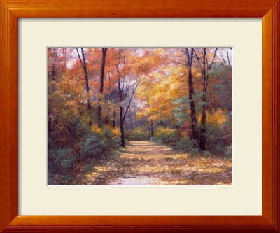 Autumn Road Framed Print Autumn Road Framed Print
