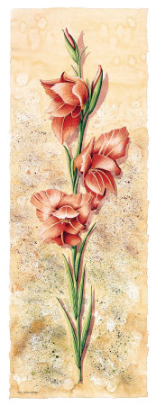 Gladiolos I Print Gladiolos I Print