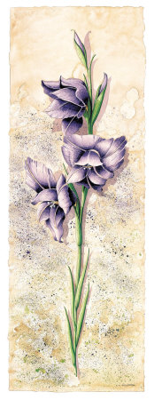 Gladiolos II Print Gladiolos II Print