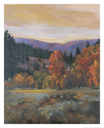 Big Country Print Big Country Print