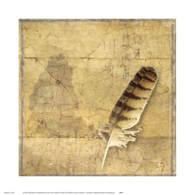 Owl Feather Print Owl Feather Print