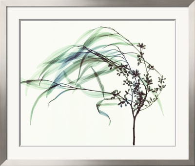 Wind Framed Print Wind Framed Print