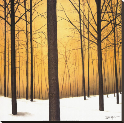 Winter Warmth Stretched Canvas Print Winter Warmth Stretched Canvas Print