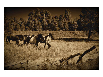 Bring the Horses Home Giclee Print Bring the Horses Home Giclee Print
