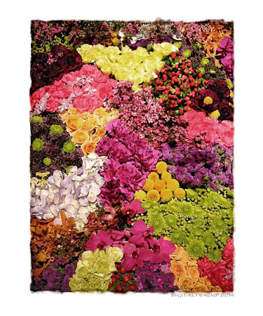 Wall Flowers Giclee Print Wall Flowers Giclee Print