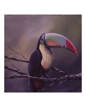 Toucan Giclee Print Toucan Giclee Print