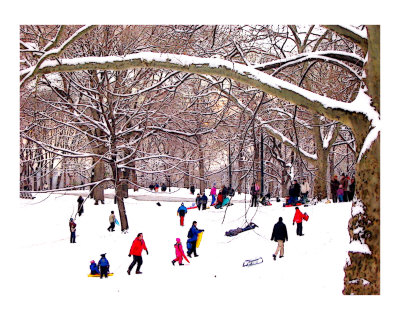Snow Sledding in Central Park Giclee Print Snow Sledding in Central Park Giclee Print