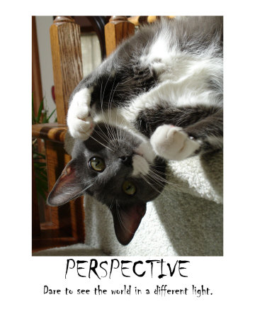 Perspective Photographic Print Perspective Photographic Print