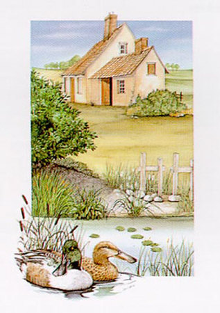 Summer, Duck Print Summer, Duck Print