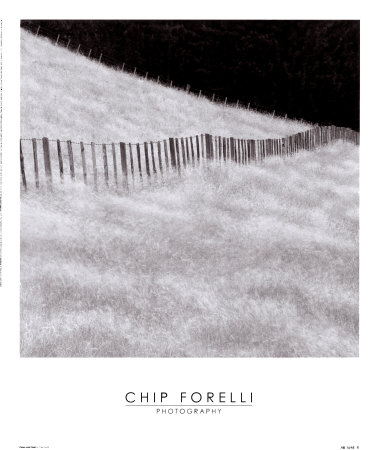 Fence and Field Print Fence and Field Print