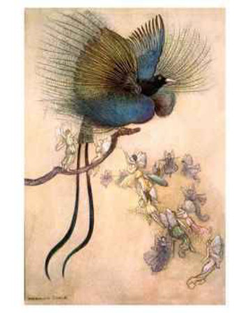 Bird of Paradise Print Bird of Paradise Print