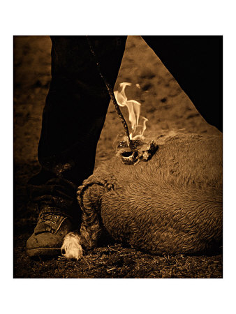 Western Brand Giclee Print Western Brand Giclee Print