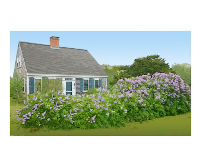 Lilac House Photographic Print Lilac House Photographic Print
