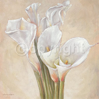 Callas Formation Print Callas Formation Print