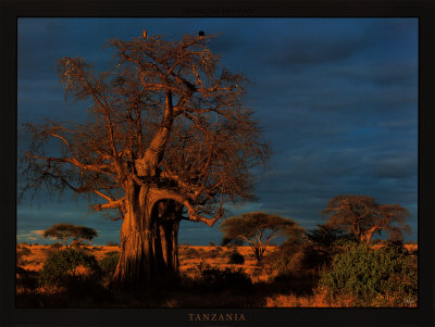 Tanzania Print Tanzania Print