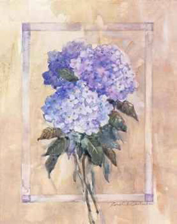 Hydrangeas Print Hydrangeas Print