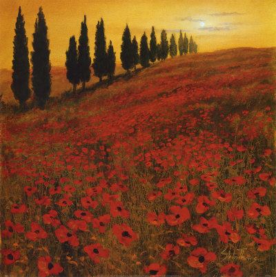 Poppies Print Poppies Print