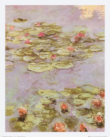 Red Water Lilies