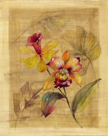 Bahama Breeze II Print Bahama Breeze II Print